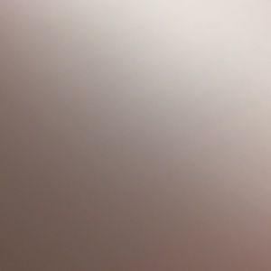 Meet your Posher, Brenna